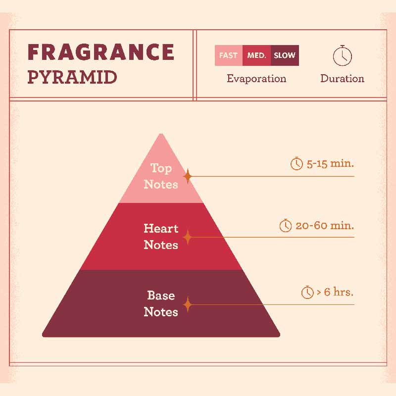 Fragrance Pyramid ปิรามิดน้ำหอม
