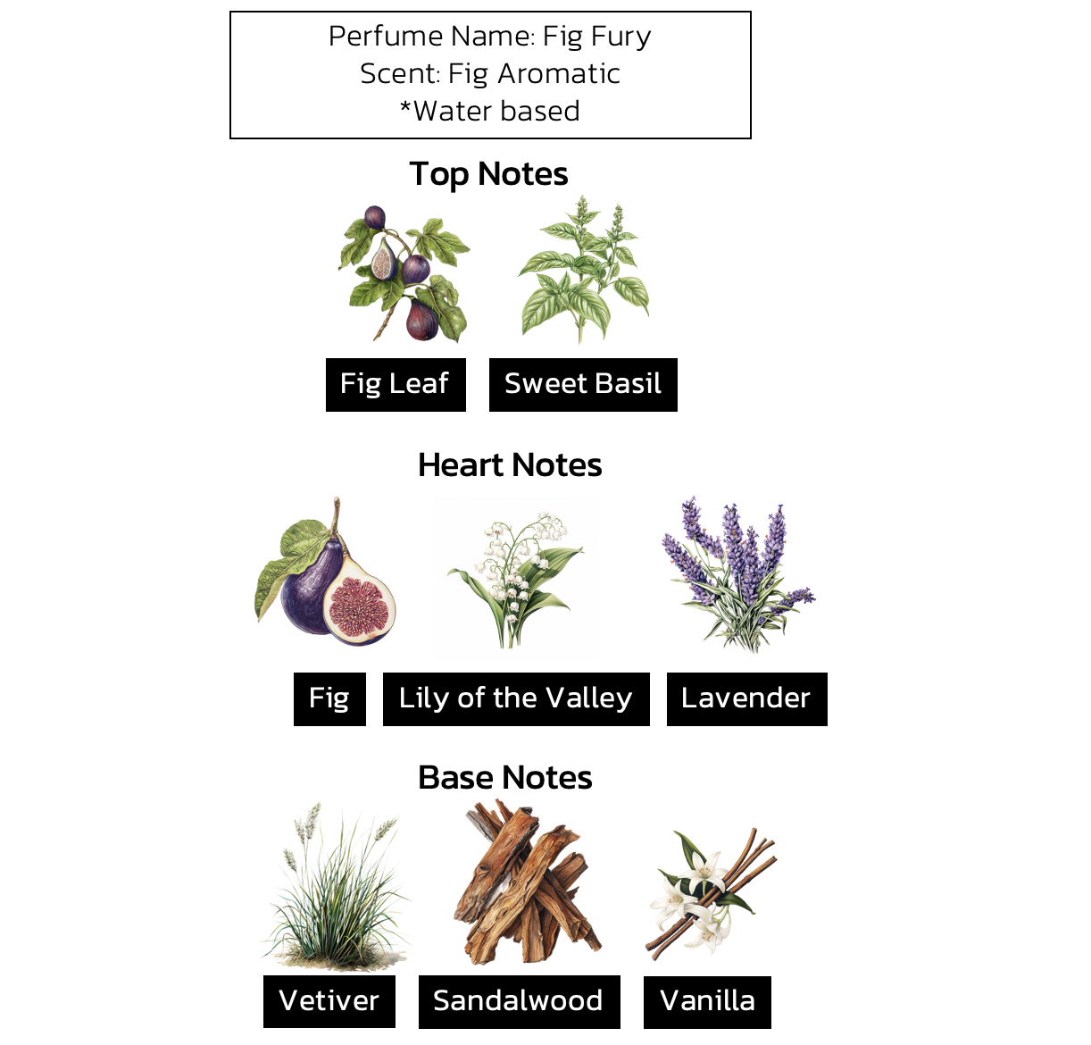 น้ำหอมฟิก สูตรน้ำ กลิ่น FIG FURY