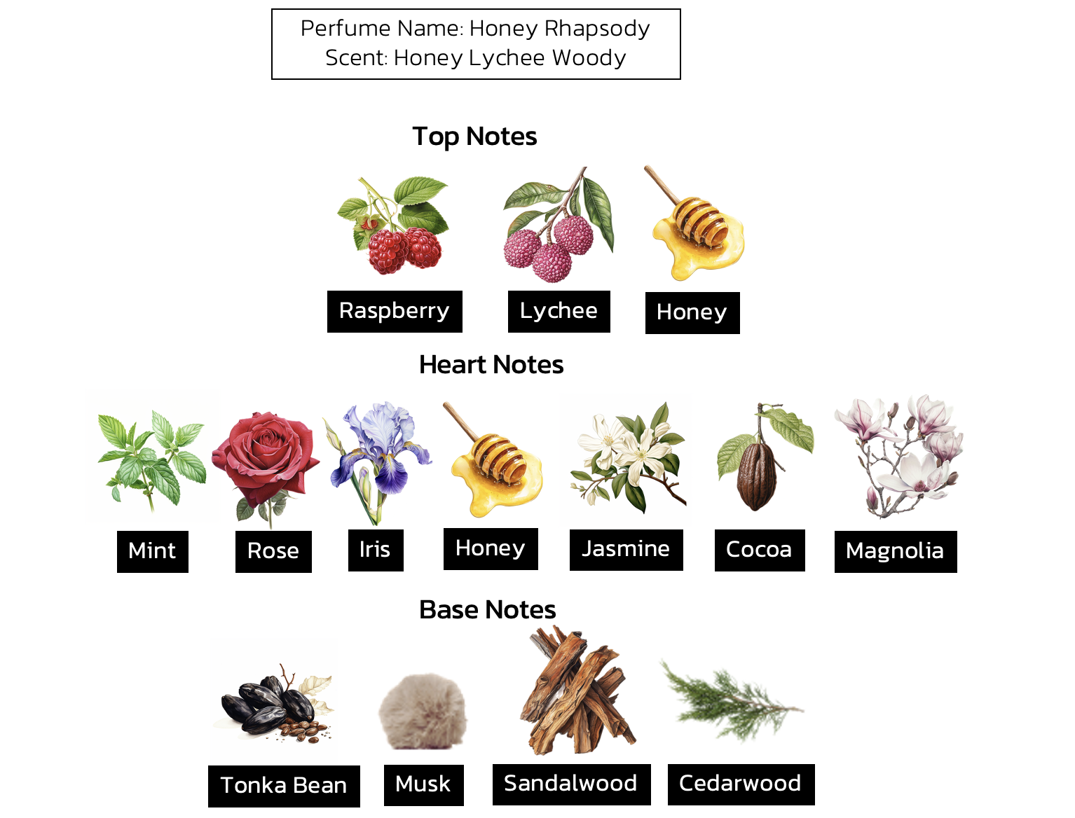 น้ำหอมน้ำผึ้งป่า กลิ่น HONEY RHAPSODY