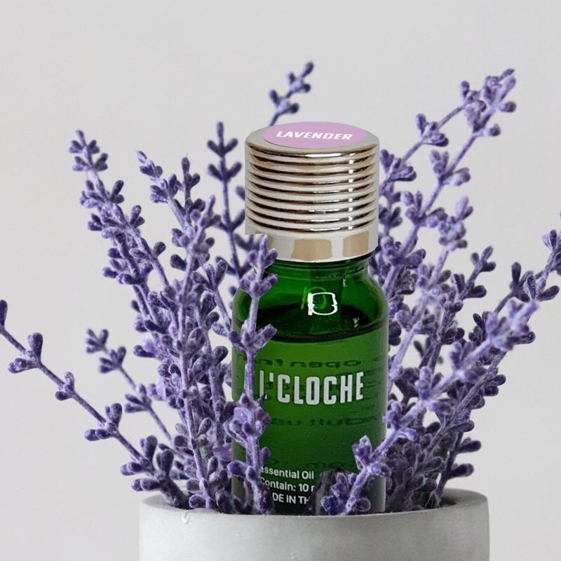 FRENCH LAVENDER ESSENTIAL OIL ขนาด 10ML - น้ำมันหอมระเหย นำเข้าจากประเทศฝรั่งเศส
