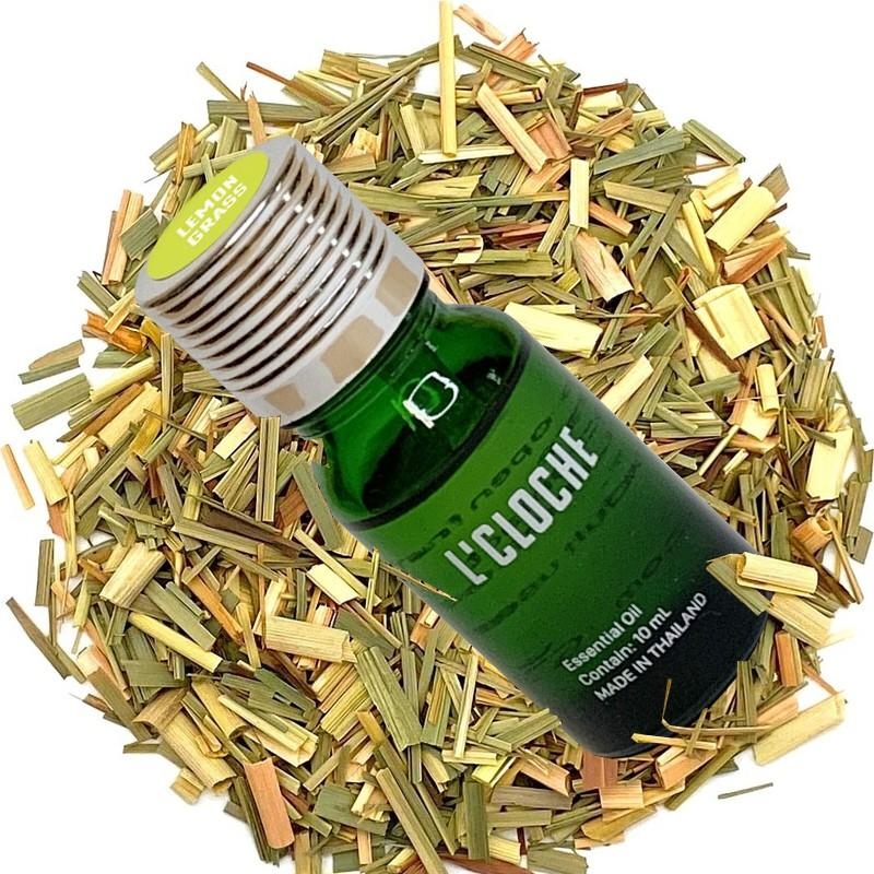 INDIAN LEMONGRASS ESSENTIAL OIL ขนาด 10ML - น้ำมันหอมระเหย นำเข้าจากประเทศอินเดีย