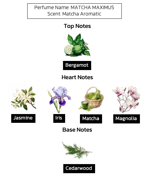 น้ำหอมมัทฉะ กลิ่น Matcha Maximus (น้ำหอมกลิ่นชา)