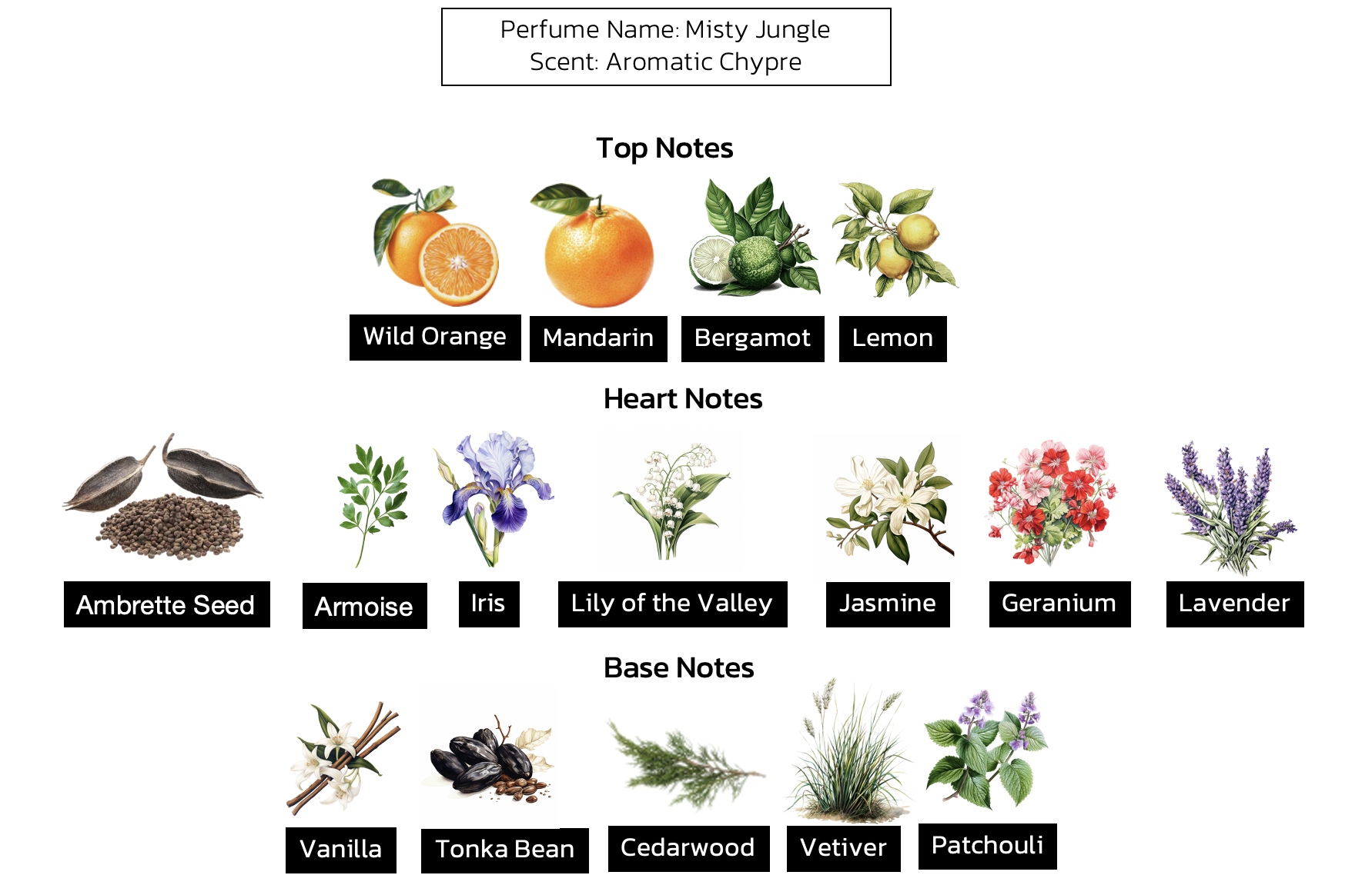 น้ำหอมป่าดงดิบ กลิ่น MISTY JUNGLE