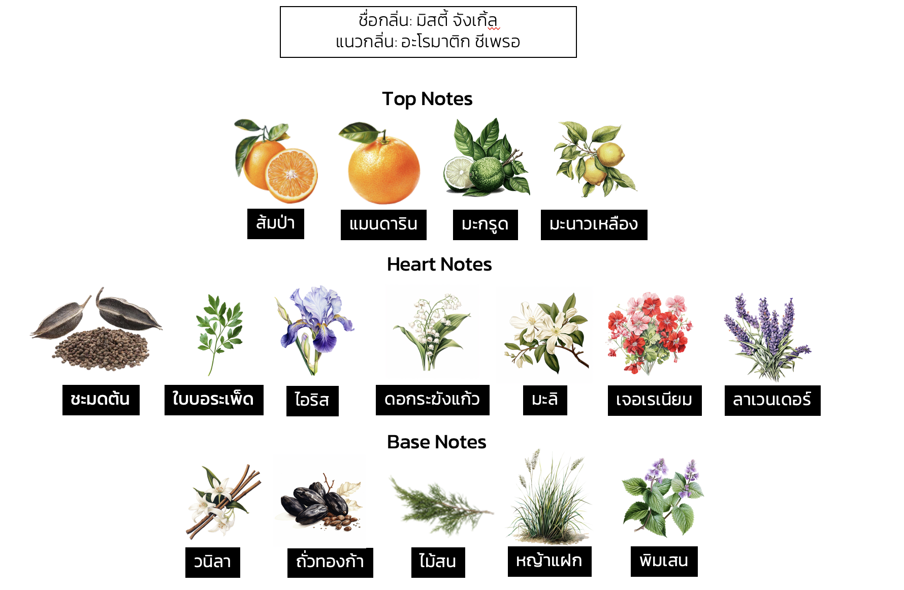 น้ำหอมป่าดงดิบ กลิ่น MISTY JUNGLE