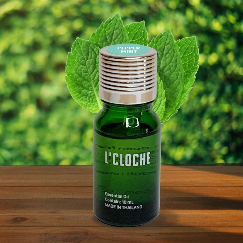 CHINESE PEPPERMINT ESSENTIAL OIL ขนาด 10ML - น้ำมันหอมระเหย นำเข้าจากประเทศจีน