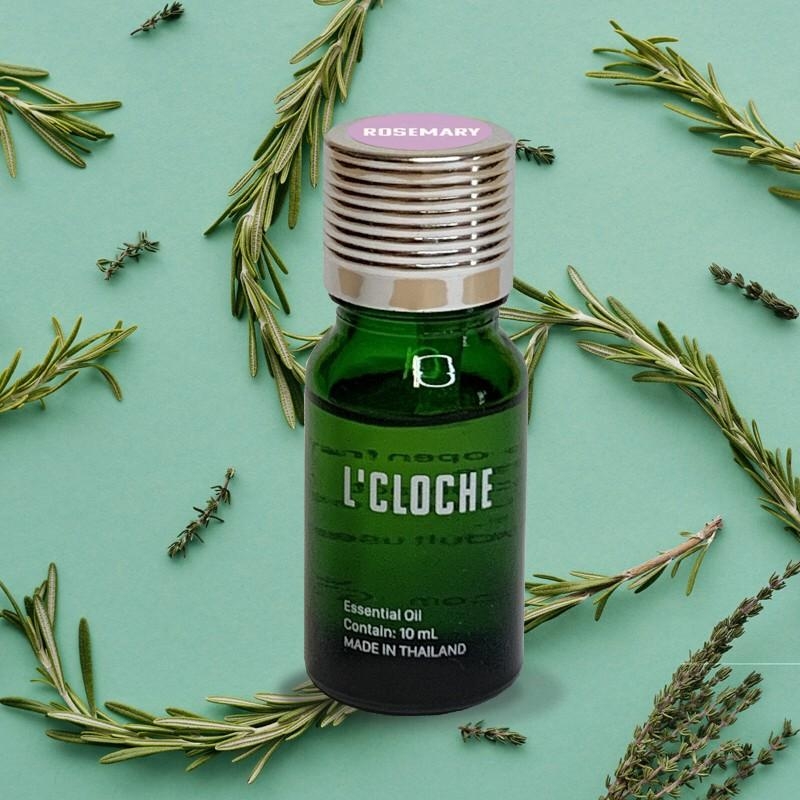 SPANISH ROSEMARY ESSENTIAL OIL ขนาด 10ML - น้ำมันหอมระเหย นำเข้าจากประเทศสเปน